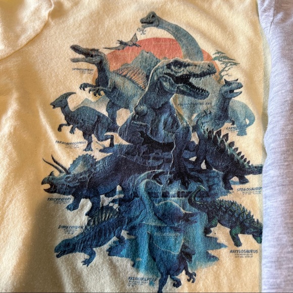 2T Toddler Dinosaur T-shirt Bundle - Picture 4 of 12